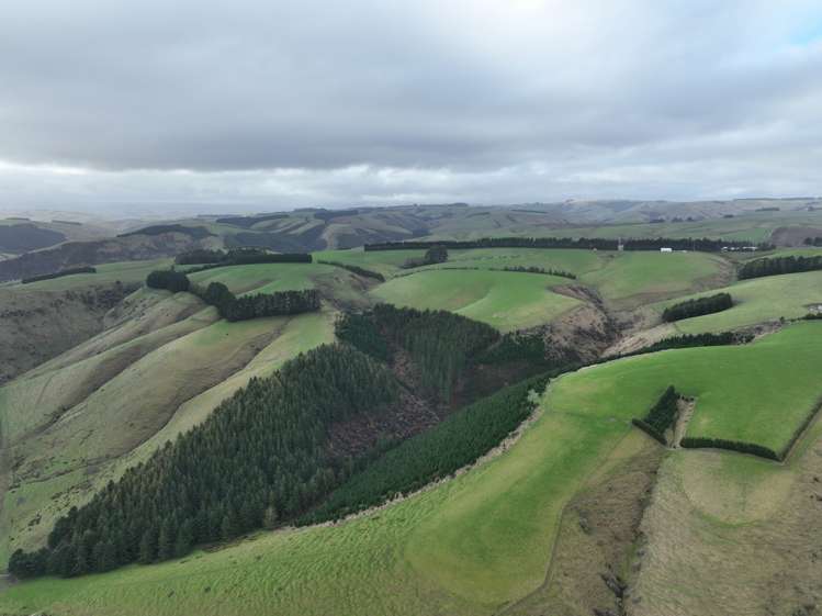 174 Mcculloch Road Balclutha_4