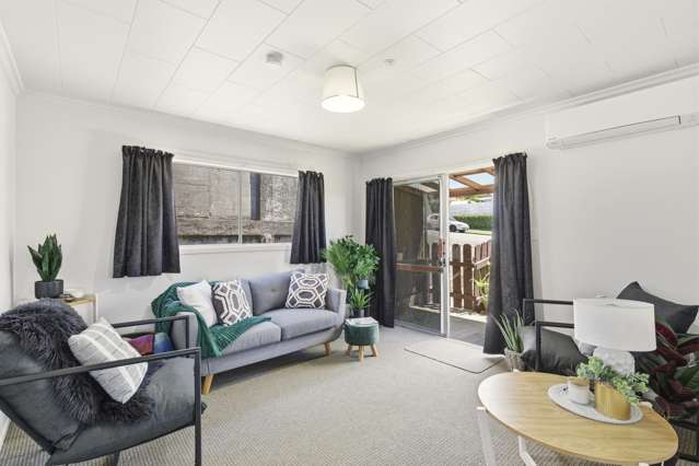 1/24 Hori Street Vogeltown_3