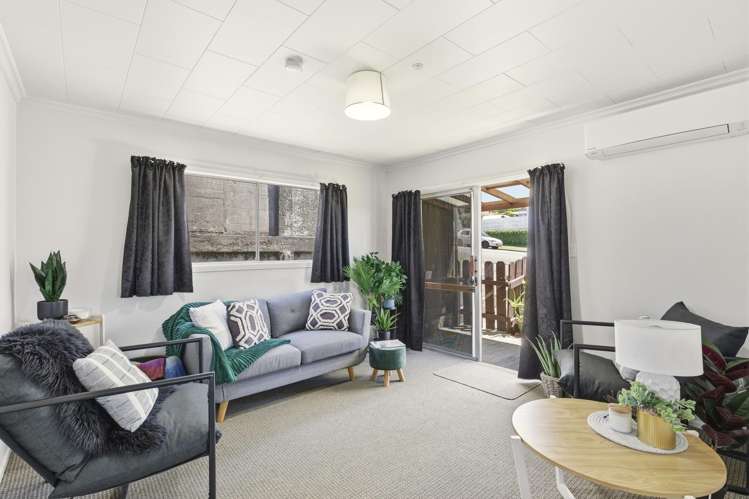 1/24 Hori Street Vogeltown_2