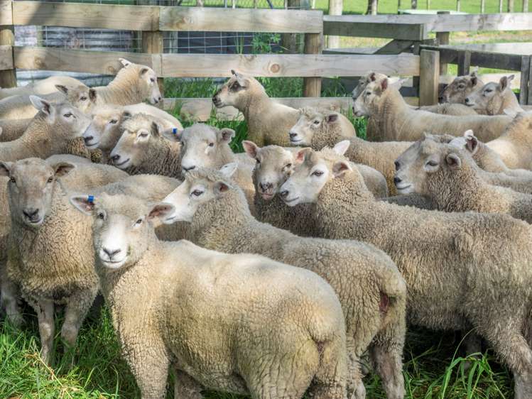 749 Lake Ferry Road Dyerville_18