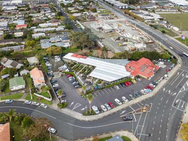 1 Forrest Hill Road and 4 Nile Road Milford_3