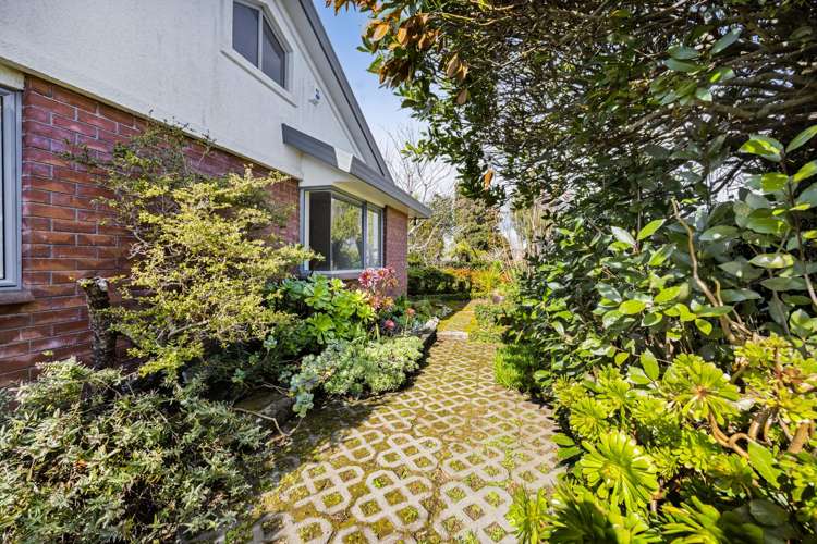 217 Carrington Street Vogeltown_16