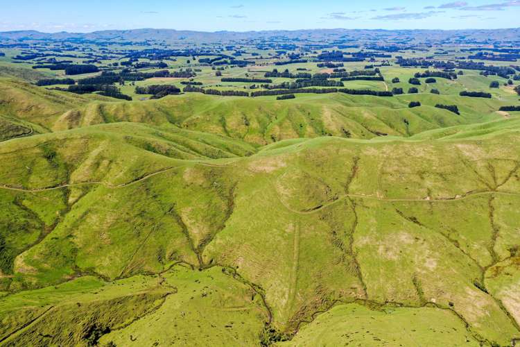 412 Tamaki West Road Dannevirke_18