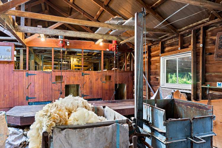 121 Krippner Road Puhoi_15