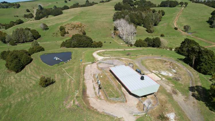 4283 State Highway 12 Dargaville Surrounds_11