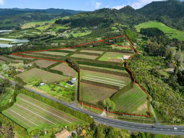 Kiwi Orchard has Scale, Style and a Shed!