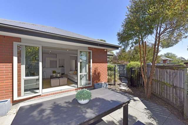 1B Moule Street Addington_2