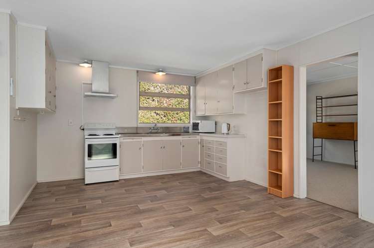105 Jess Road Whakamarama_24