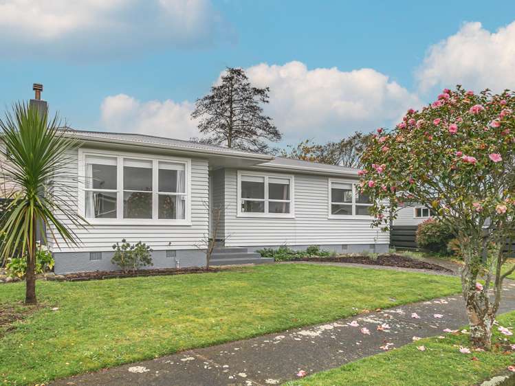 3 Conway Street Levin_13