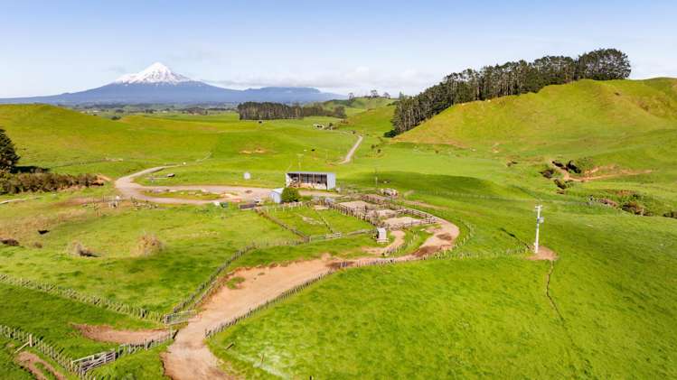318 Kupara Road Tariki_14