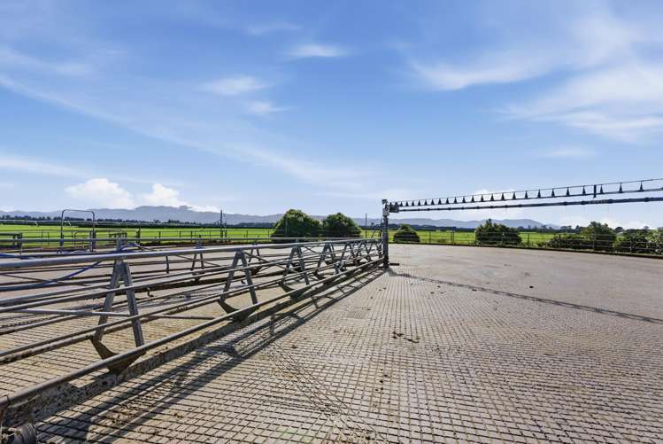 263 Domain Road Oxford_12