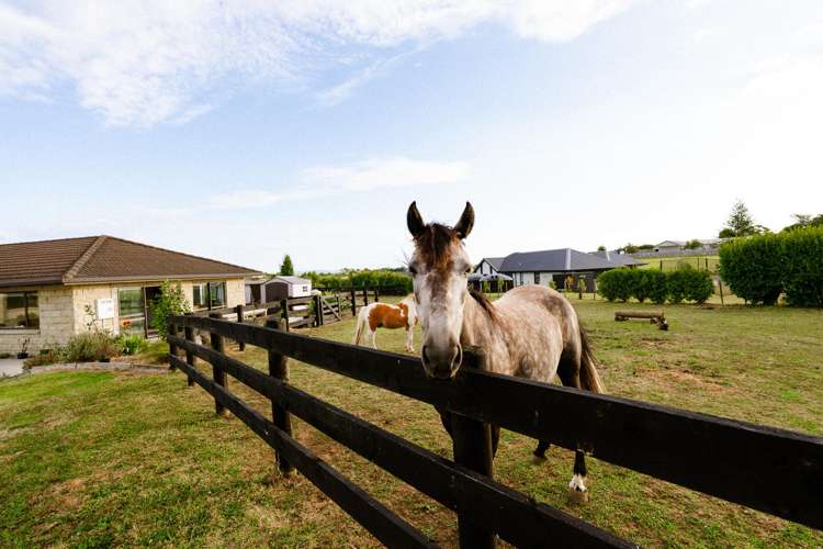 48 Travers Road Te Kauwhata_28