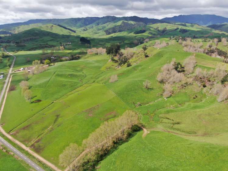 126 Tauraroa Valley Road Otorohanga_24