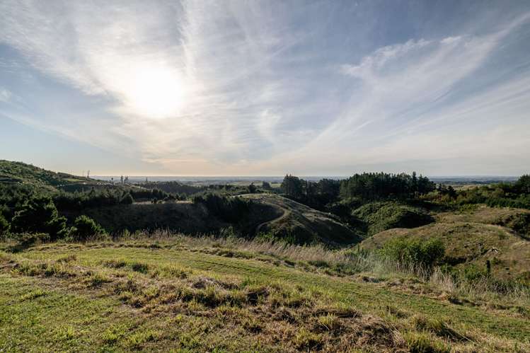 191 Ngahere Park Road Turitea_25