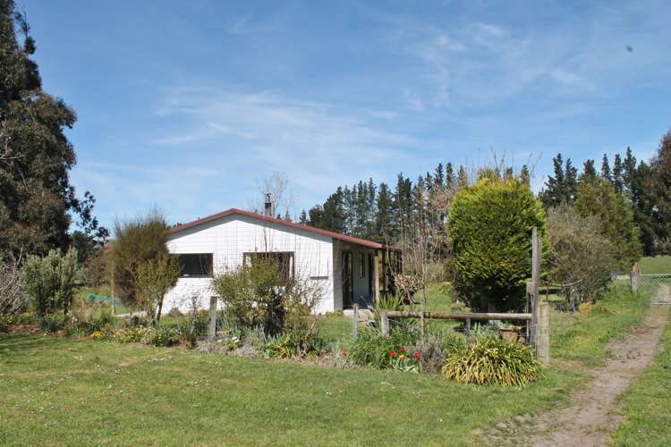 47 Munro Road Cheviot_0