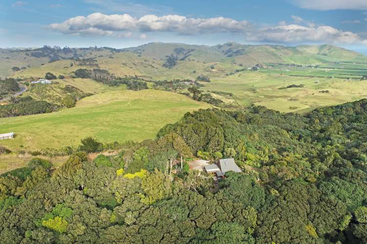 2409 Awhitu Road Awhitu_9