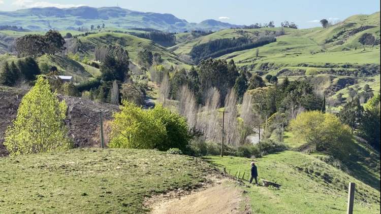 1601 Kahuranaki Road Havelock North_13