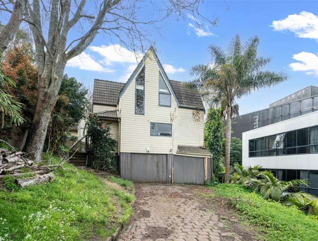 26 Ruskin Street Parnell_1