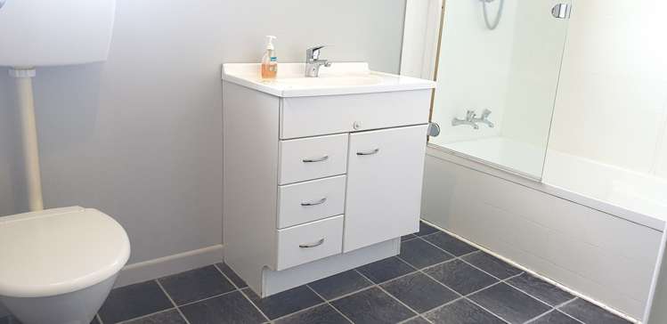 202 Goodfellow Street Te Awamutu_8