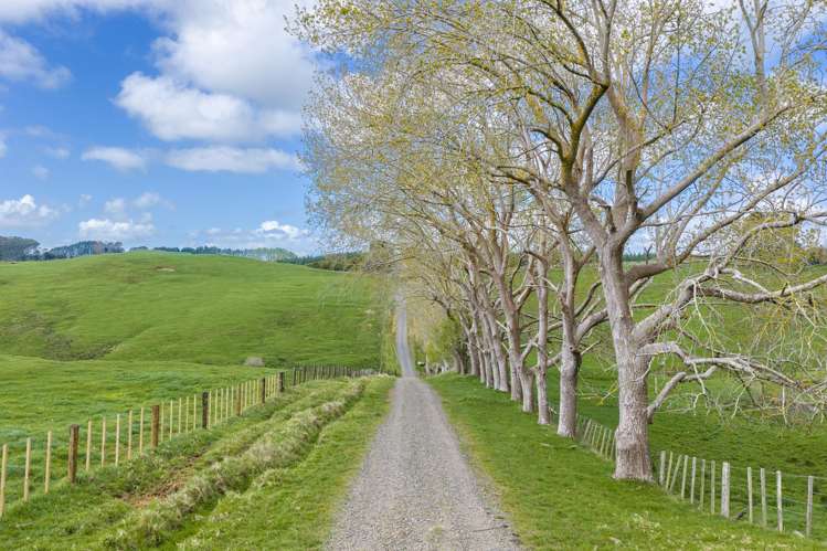 1698 Hetherington Road Huntly_18