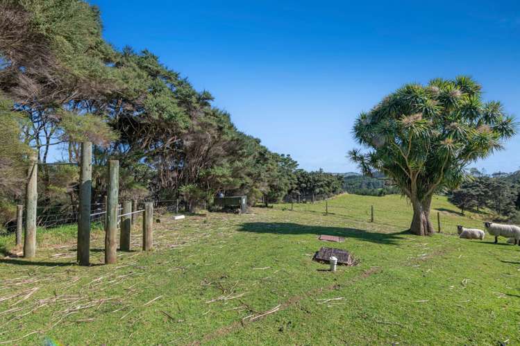 158 McLeod Road South Head_36