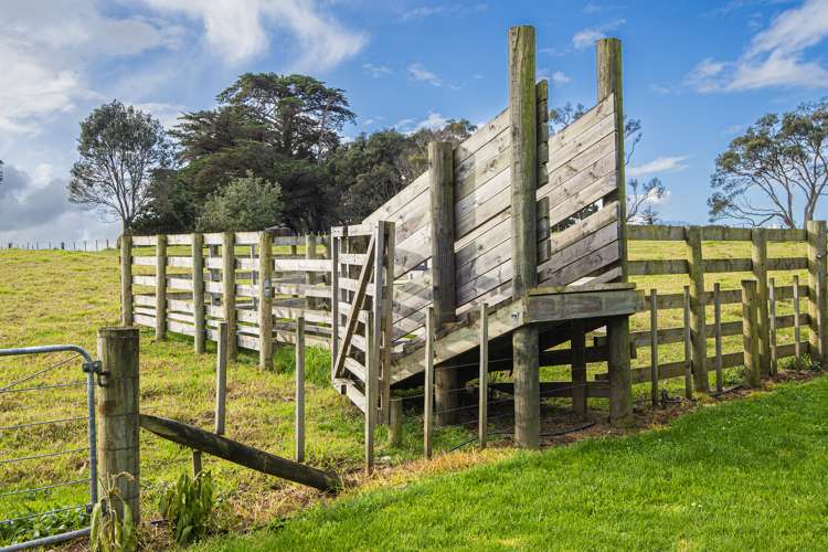 142b Pouto Road Dargaville_27