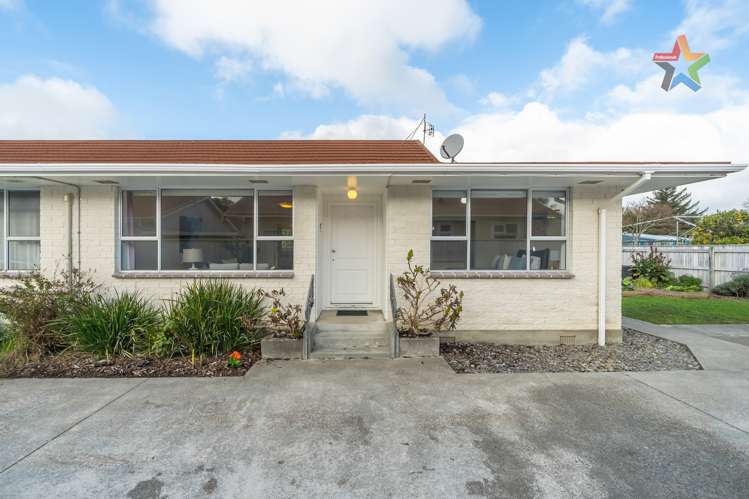 3/38 Pretoria Street Lower Hutt_0