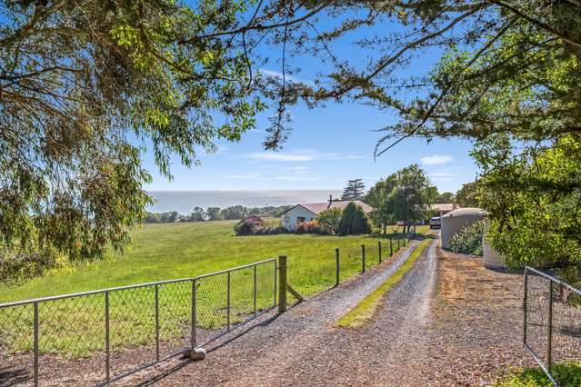 385 Cathedral Road Domett_4