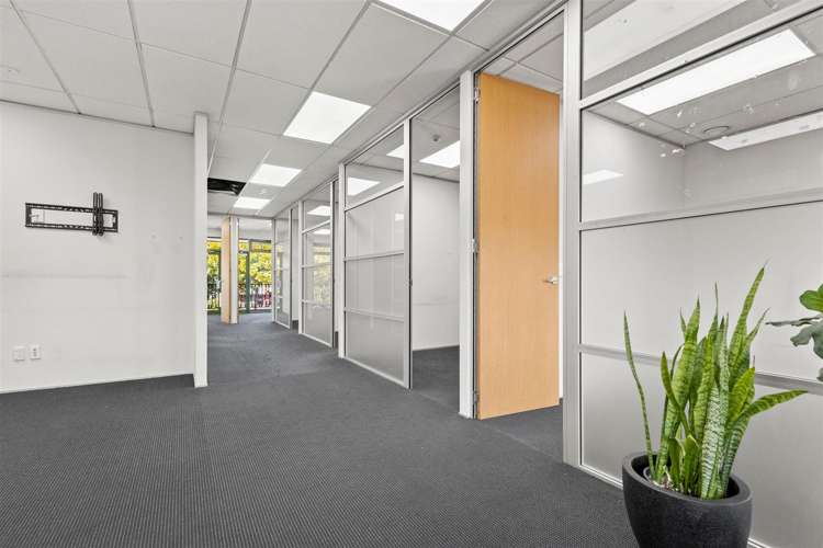 6 Washington Way Sydenham_12