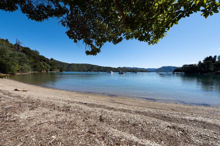 Port Underwood Road Port Underwood_6