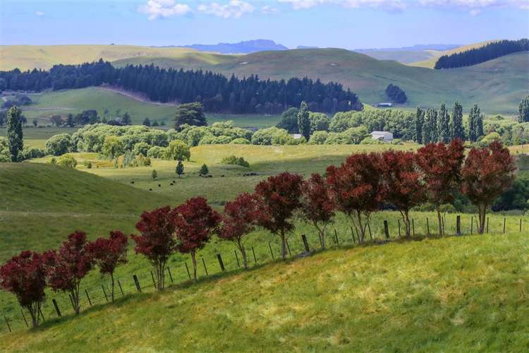 615 Matapiro Road Crownthorpe_18