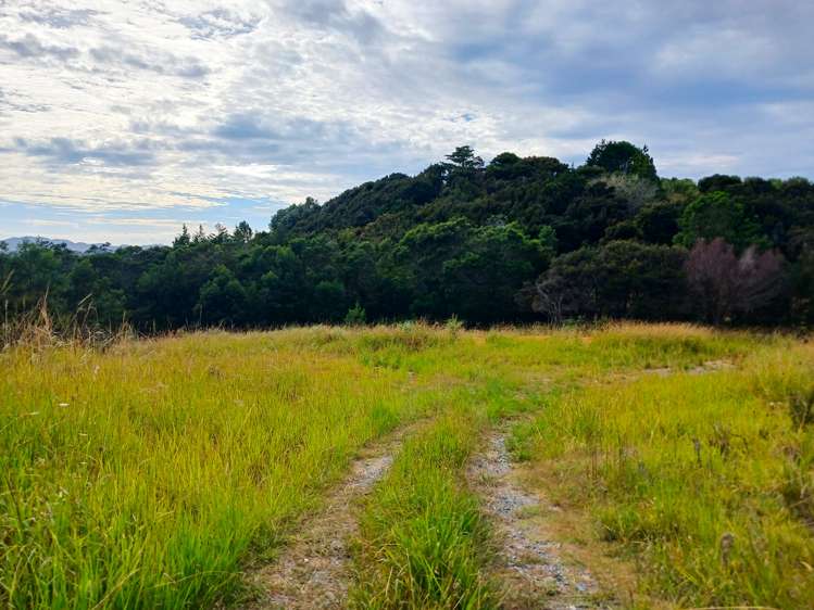 104 Stratford Drive Cable Bay_10