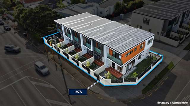 Freehold Design-Living by Cornwall Park