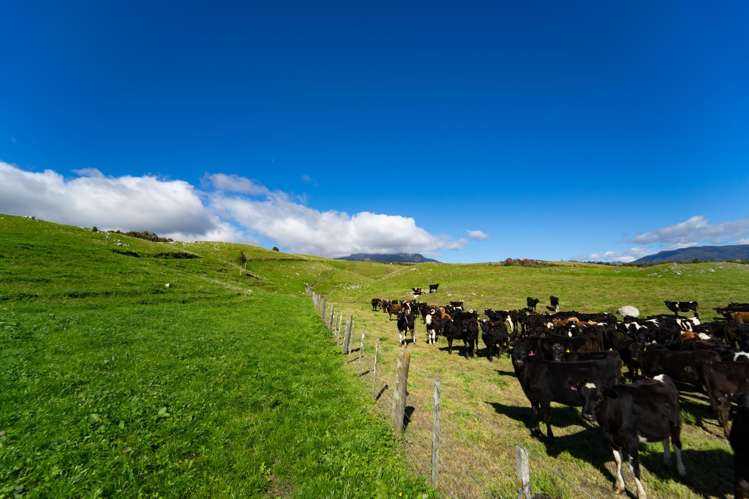 Quartz Range Road Bainham_17