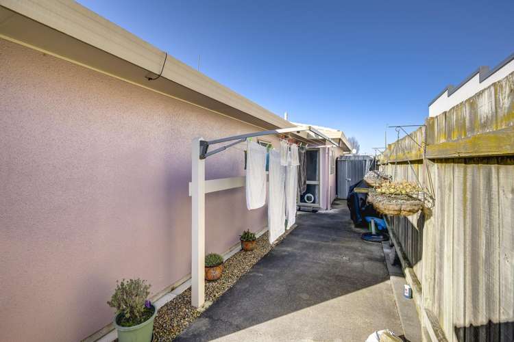 3/427 Gloucester Street Taradale_14