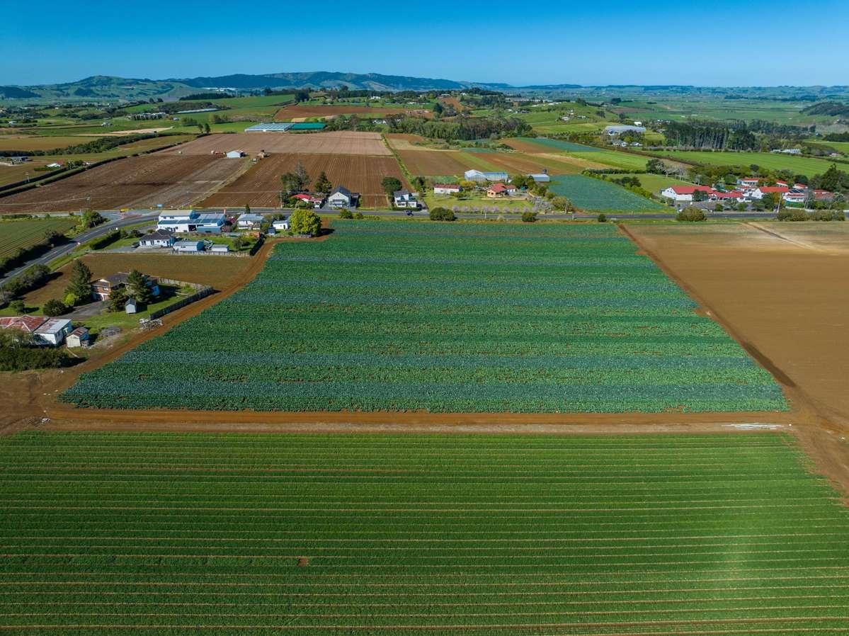 292 Waiuku Road_4