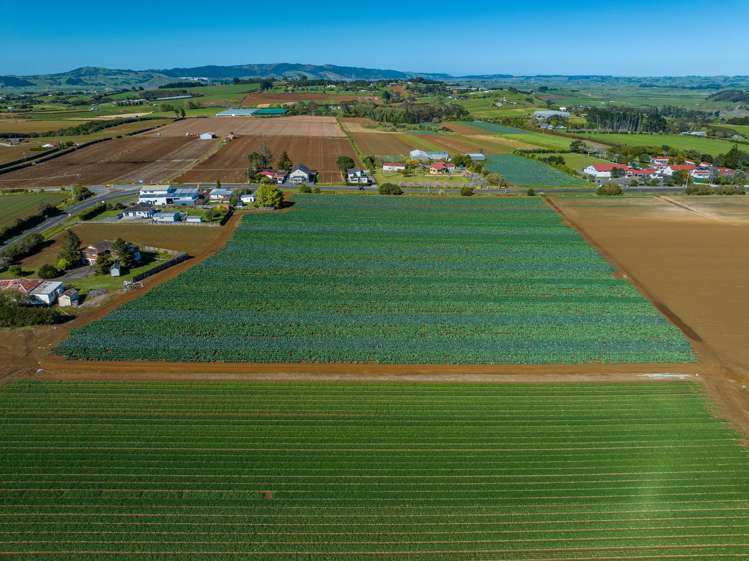 292 Waiuku Road Puni_8