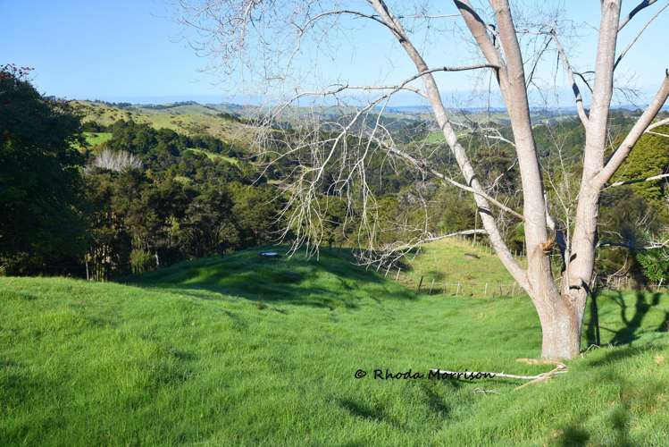 330 Franklin Road Paparoa_54