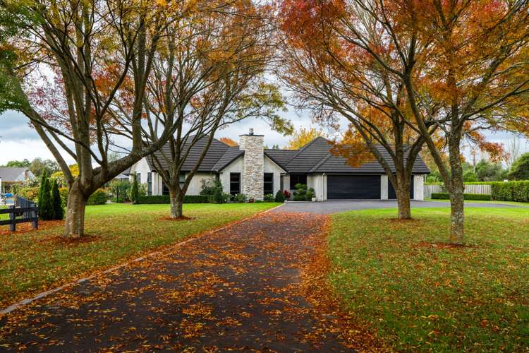 337b Newell Road Tamahere_27