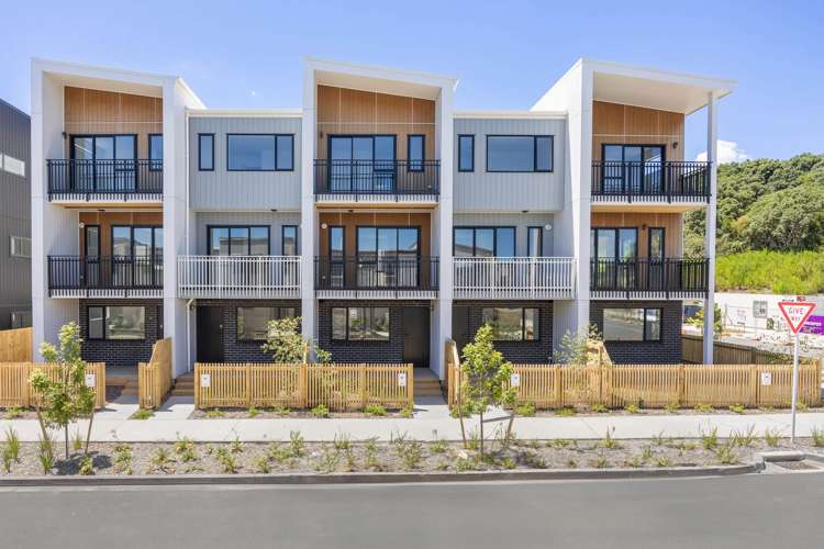 23 Tahepuia Lane_0
