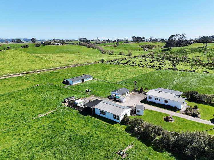 1034 Pouto Road Te Kopuru_13