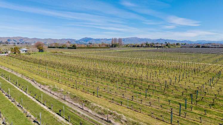 Mills and Ford Road East Grovetown_10