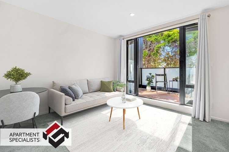 250 Richmond Grey Lynn_1