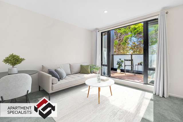 250 Richmond Grey Lynn_1