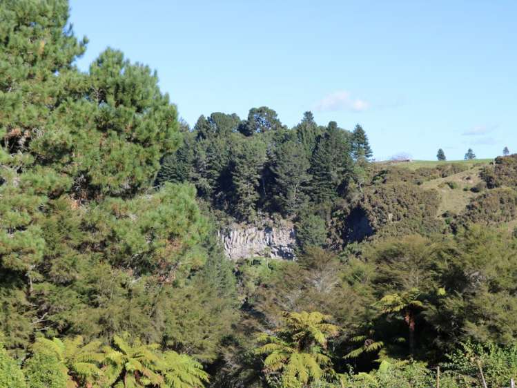 402 Leslie Road Ngatira_10