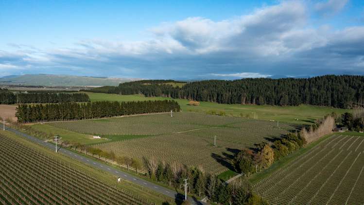 470 Waihopai Valley Road Waihopai Valley_3