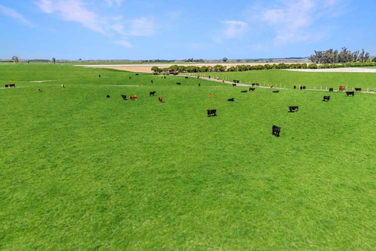 56 Opihi Terrace Road_5