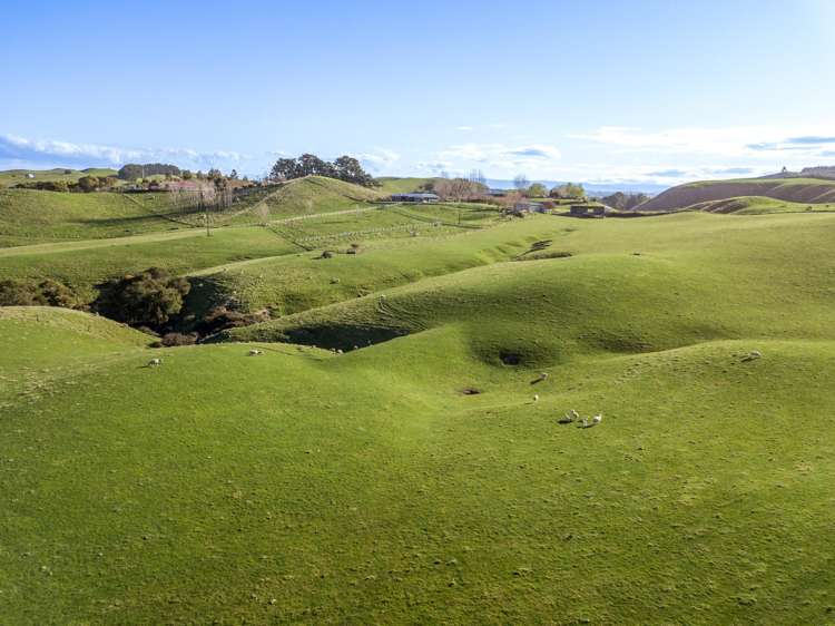 Lot Lots 1&2 Taihape Road Sherenden_7