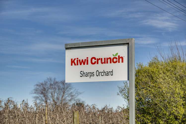 Kiwi Crunch Orchard Portfolio Twyford_8