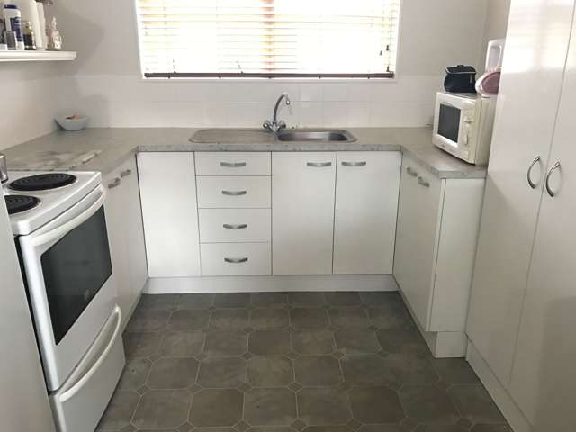 8a Galbraith Street Springfield_1